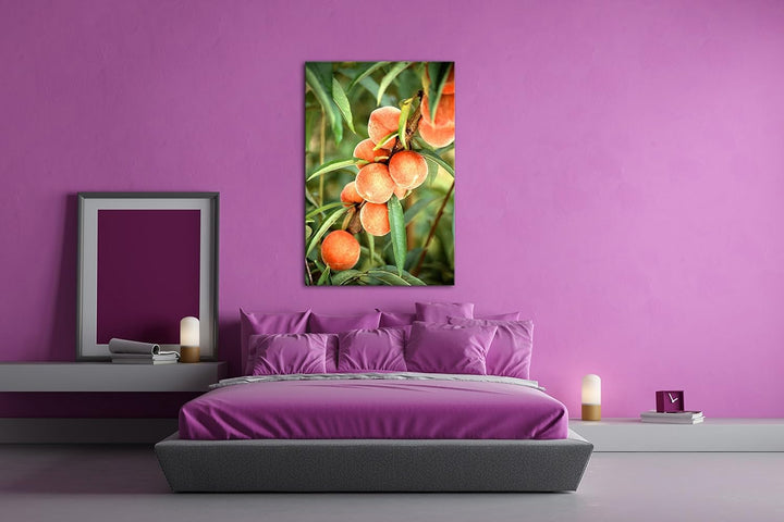 delikate Pfirsiche am Baum Format: 80x60 als Leinwandbild, Motiv fertig gerahmt auf Echtholzrahmen,