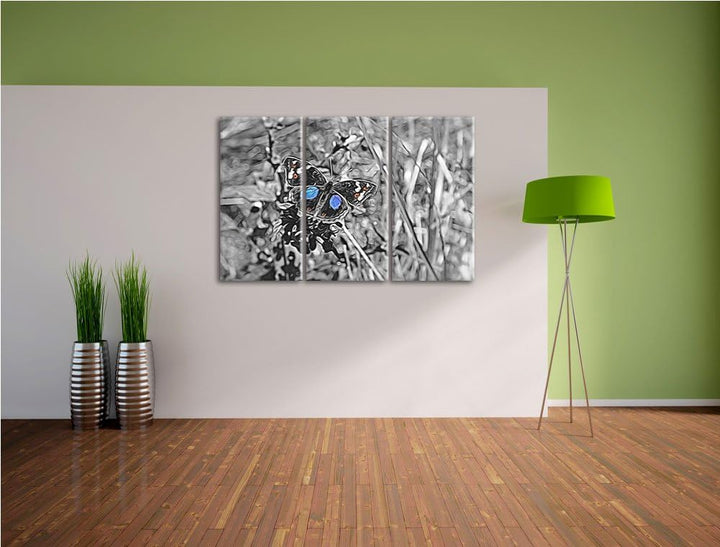 aussergewöhnlicher Schmetterling auf Grashalm schwarz/weiss Spezial 3-Teiler Leinwandbild 120x80 Bil
