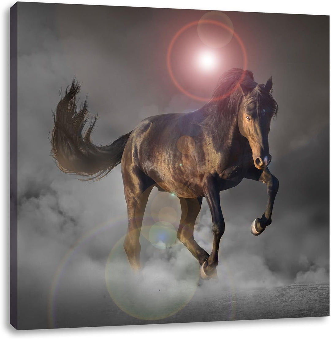 Elegantes Pferd beim springen schwarz/weiss, Format: 70x70 auf Leinwand, 70x70