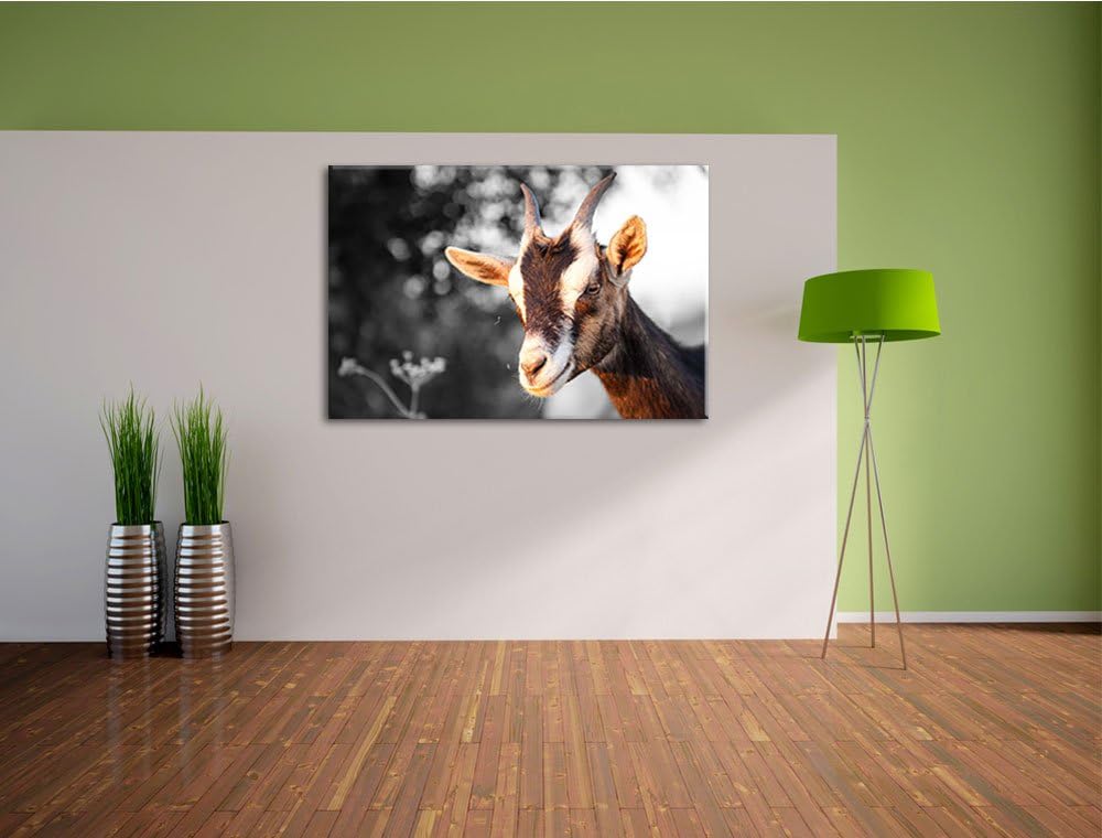 süsse Ziege schwarz/weiss Format: 100x70 auf Leinwand, XXL riesige Bilder fertig gerahmt mit Keilrah