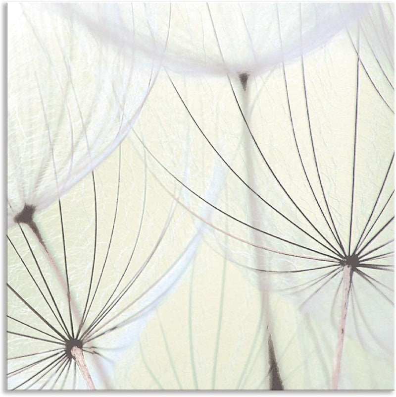 ARTland Spritzschutz Küche aus Alu für Herd Spüle 60x60 cm (BxH) Küchenrückwand mit Motiv Blume Pust