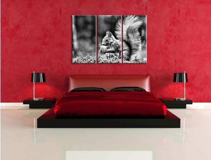 Pixxprint Eichhörnchen mit Nuss als Leinwandbild/Grösse: 3 Teilig (120x80) / Wandbild/Kunstdruck/fer