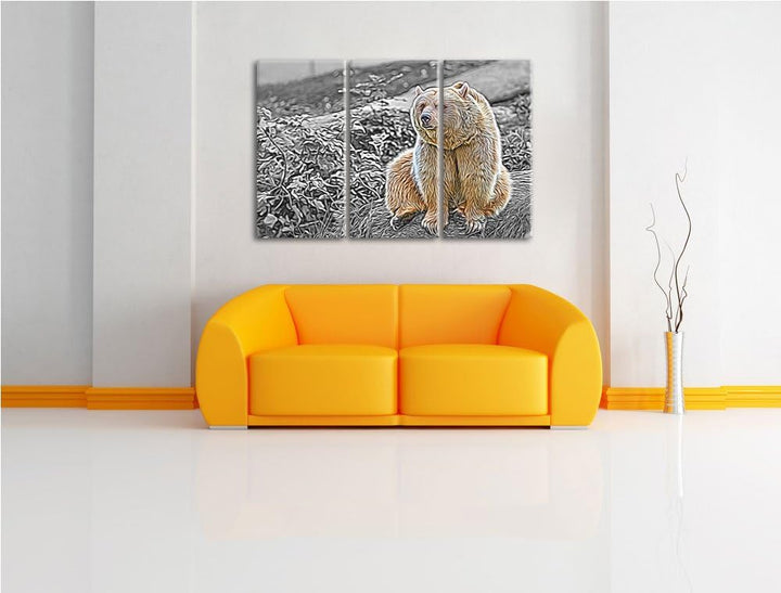 niedlicher Grizzly auf Stein schwarz/weiss Deluxe 3-Teiler Leinwandbild 120x80 Bild auf Leinwand, XX