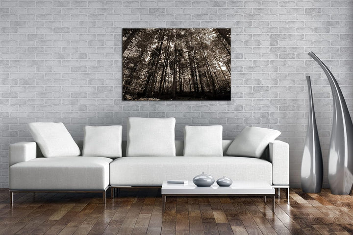 deyoli Wald voller Bäume Format: 80x60 als Leinwand, Effekt: Sepia, Motiv fertig gerahmt auf Echthol