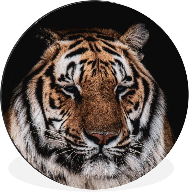 MuchoWow Wandbild Rund Wanddeko Deko Wohnzimmer Bilder 60x60 cm Tiger - Tiere - Orange, 60x60 cm