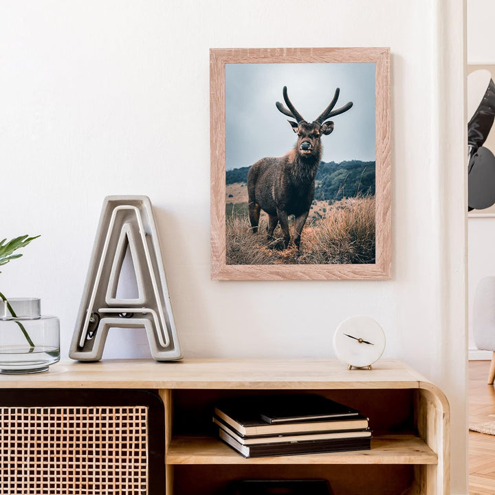 Rahmendesign24 Posterrahmen Milano 50x70 Sonoma Eiche Fotorahmen, Wechselrahmen, Bilderrahmen, Puzzl
