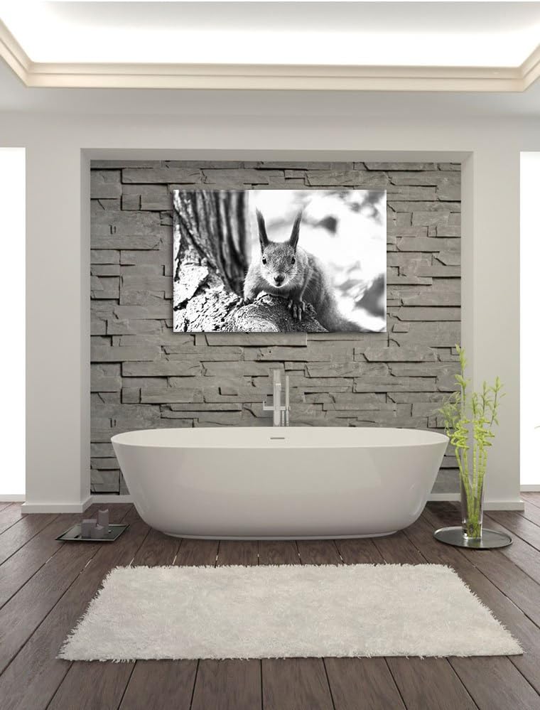 Pixxprint Eichhörnchen auf dem Baum / 100x70cm Leinwandbild bespannt auf Holzrahmen/Wandbild Kunstdr