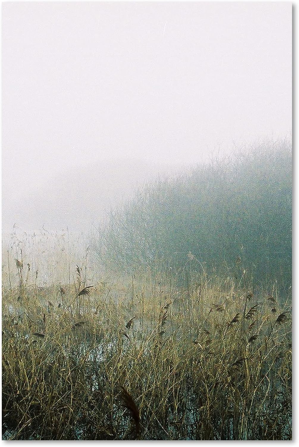 Feeby Wandbilder Wiese Nebel Landschaft XXL 80x120 cm 1Teilig Modern Vlies Bilder Leinwandbilder Bil