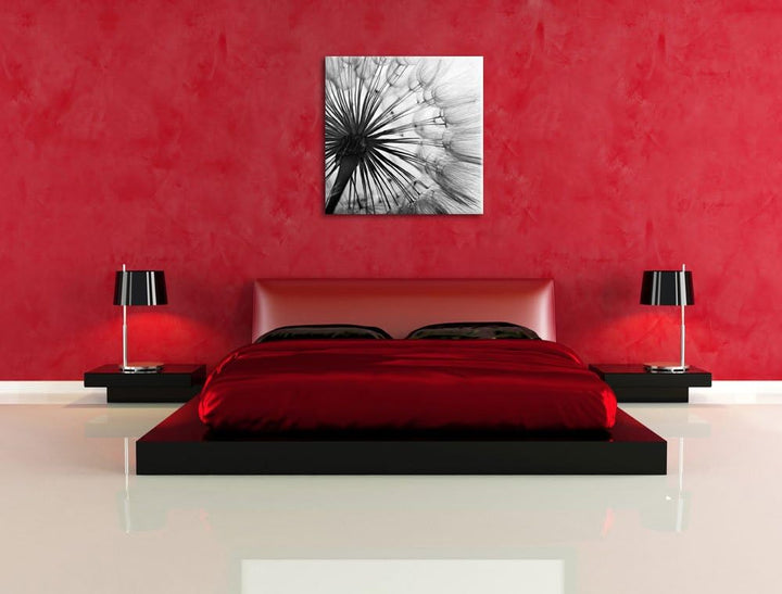 Pixxprint Schöne Pusteblume Schwarz/Weiss, Format: 70x70 auf Leinwand, 70x70