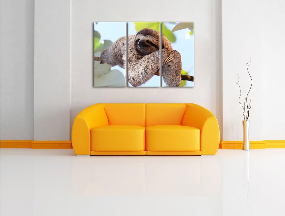 Pixxprint schönes Faultier hängt von AST als Leinwandbild/Grösse: 3Teilig (120x80) / Wandbild/Kunstd