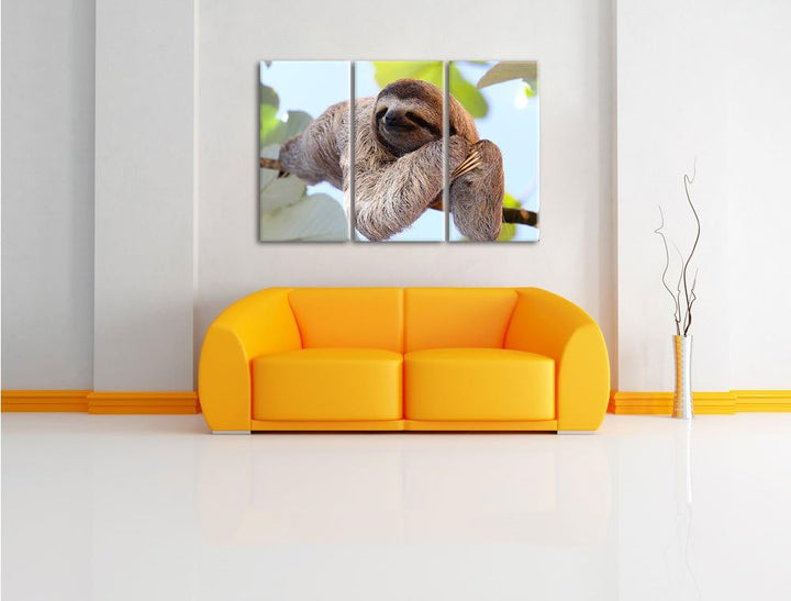 Pixxprint schönes Faultier hängt von AST als Leinwandbild/Grösse: 3Teilig (120x80) / Wandbild/Kunstd