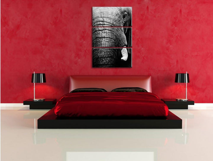 Pixxprint Elefant im Porträt als Leinwandbild/Grösse: 3 Teilig (120x80) cm/Wandbild/Kunstdruck/ferti