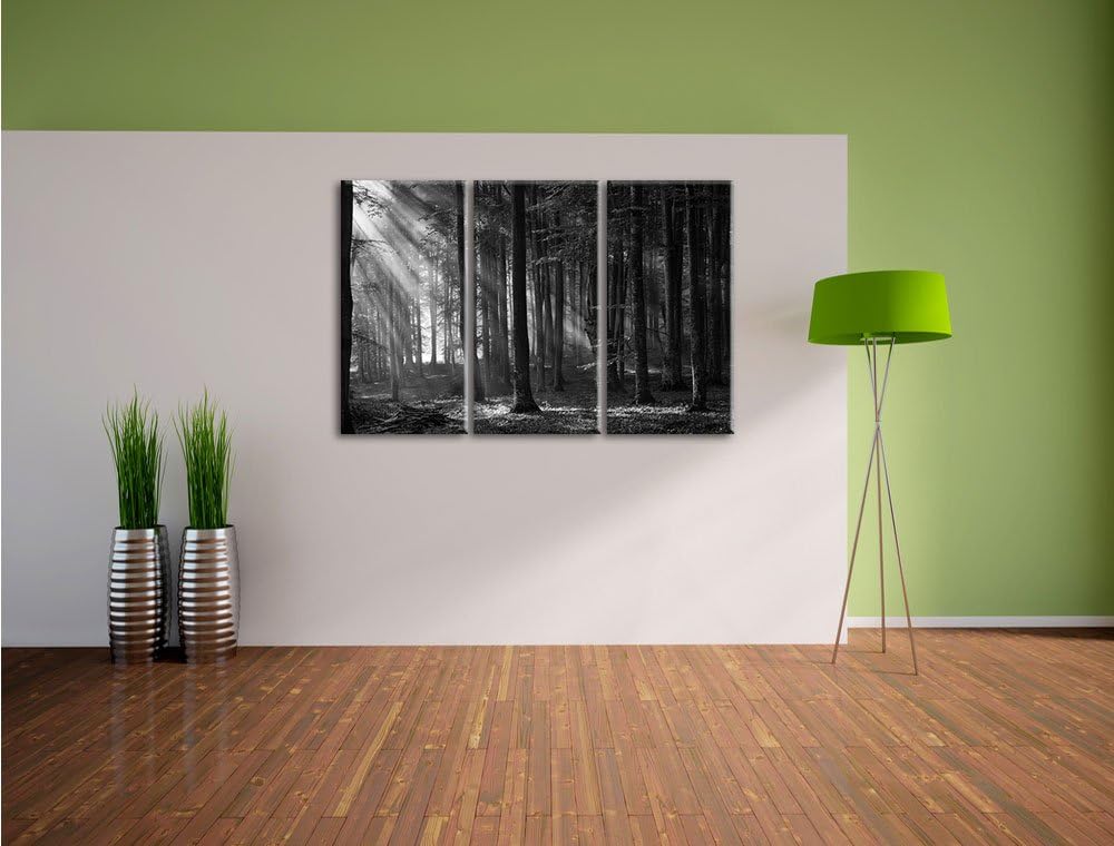 Pixxprint Märchenwald / 3-Teilig/Gesamtmass 120cm Leinwandbild bespannt auf Holzrahmen/Wandbild Kuns