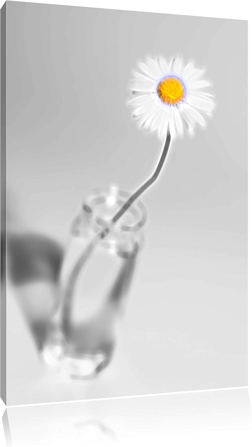 zartes Gänseblümchen im stilvollen Glas schwarz/weiss Deluxe Format: 100x70 cm auf Leinwand, XXL rie