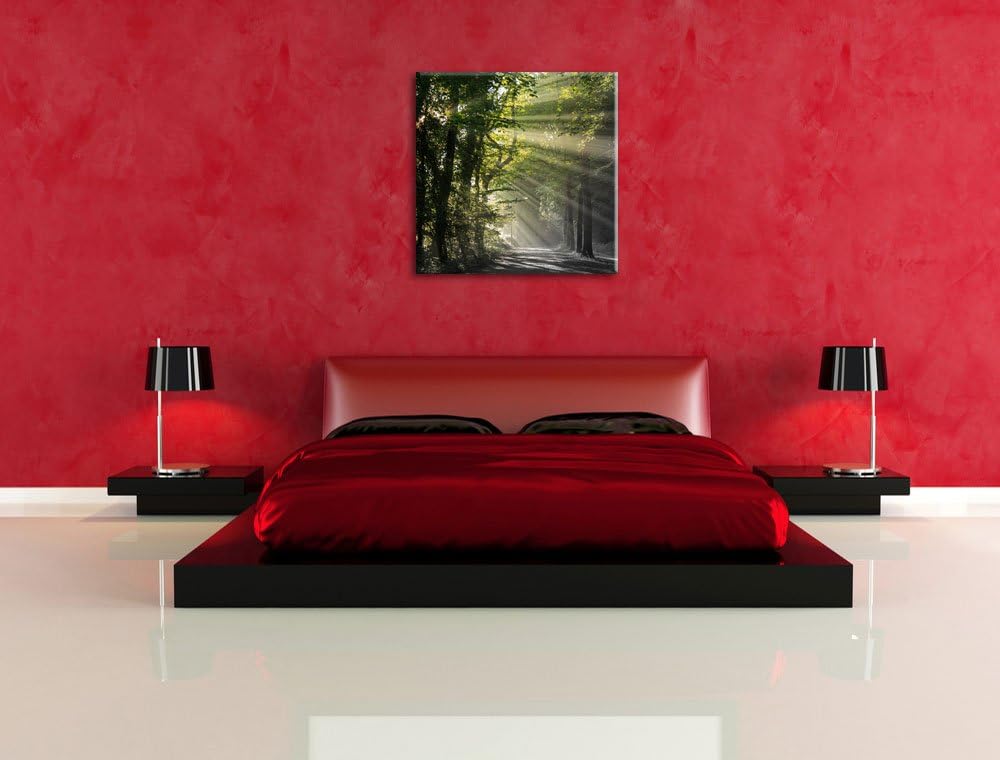 Pixxprint Waldweg im Frühling als Leinwandbild/Grösse: 70x70 cm/Wandbild/Kunstdruck/fertig bespannt,
