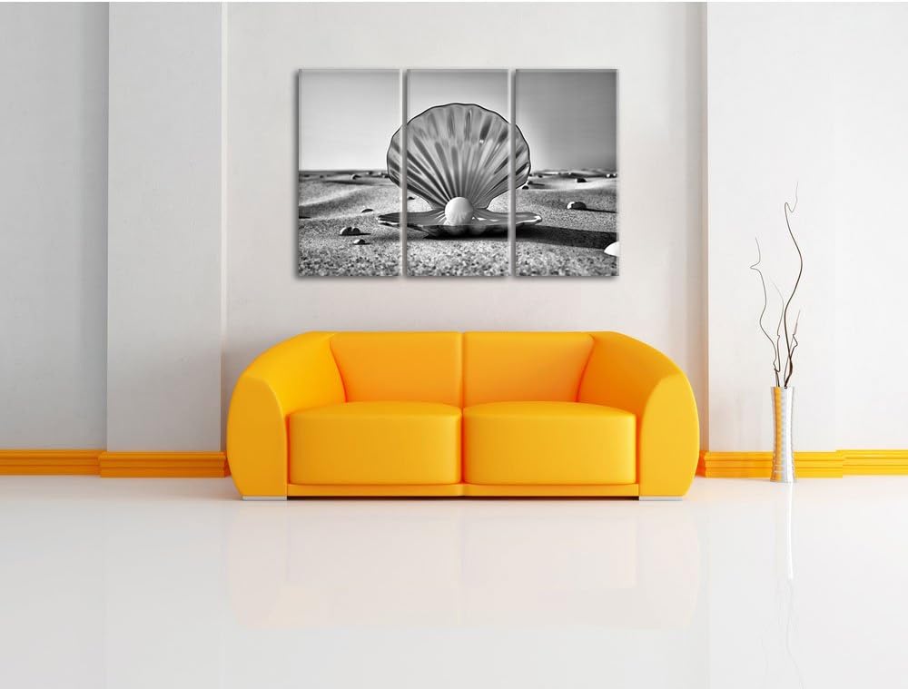 Pixxprint Monocrome, Perlenmuschel am Strand 3-Teiler Leinwandbild 120x80 Bild auf Leinwand