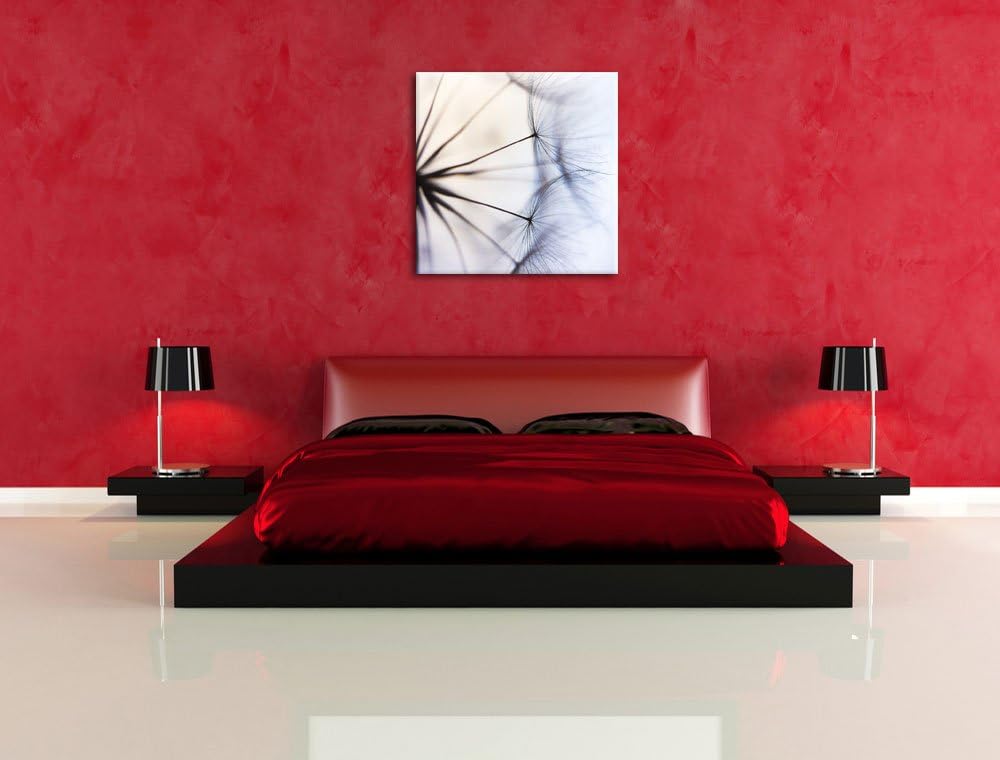 Weisse Pusteblumen, Format: 70x70 auf Leinwand, XXL riesige Bilder fertig gerahmt mit Keilrahmen, Ku