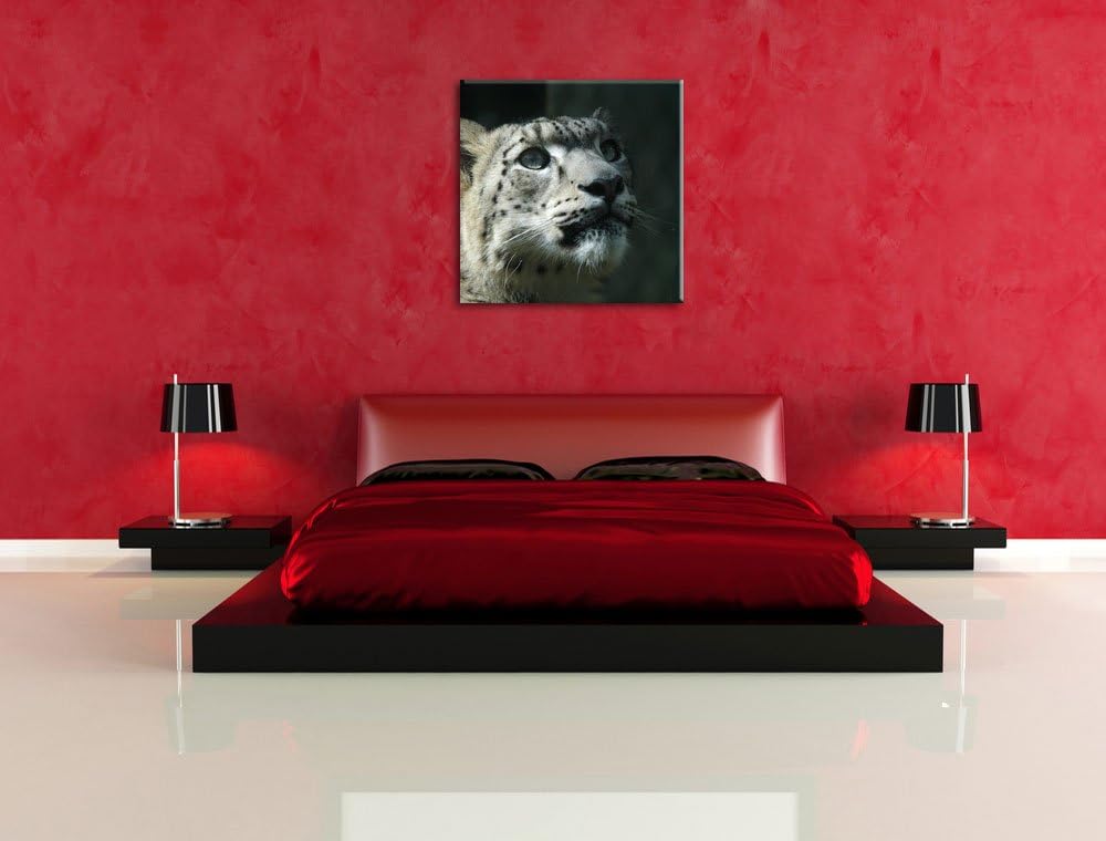 Pixxprint Leopard, Format: 70x70 auf Leinwand, XXL riesige Bilder fertig gerahmt mit Keilrahmen, Kun