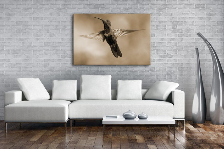 deyoli flinker Kolibri Format: 80x60 Effekt: Sepia als Leinwand, Motiv fertig gerahmt auf Echtholzra