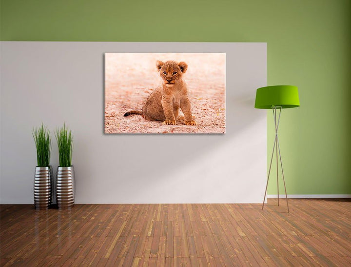 Verlassenes Löwenbaby, Format: 100x70 auf Leinwand, XXL riesige Bilder fertig gerahmt mit Keilrahmen