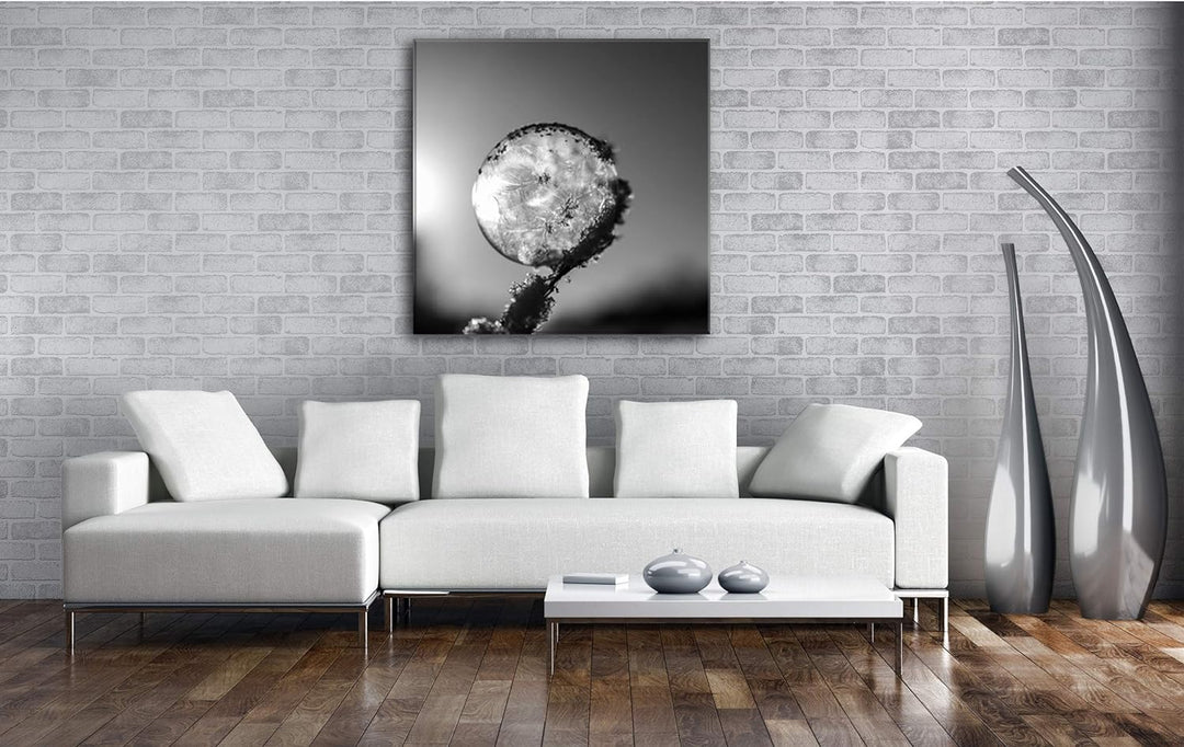 deyoli Zauberhafte Gefrorene Seifenblase Format: 70x70 Effekt: Schwarz&Weiss als Leinwandbild, Motiv