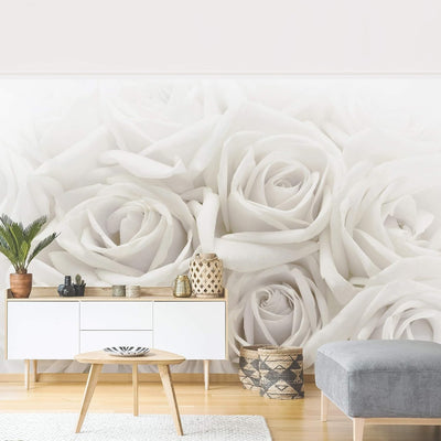 Vliestapete Weisse Rosen Premium, Grösse: 225cm x 336cm, 225cm x 336cm