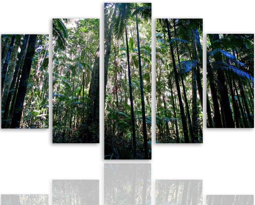 Bilder 5 Teilig Natur Deco Panel Kunst Wald Landschaft Bäume grün 100x70 cm Deco panel 100x70 cm G,