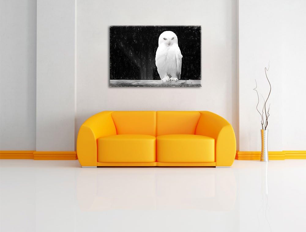 Pixxprint Weisse Schneeeule als Leinwandbild/Grösse: 100x70 / Wandbild/Kunstdruck/fertig bespannt, 1