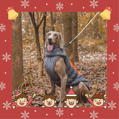 Vivi Bear Wasserdichter Hundemantel Winter Warme Hundejacke, Hundebekleidung Outfit für Mittel Gross