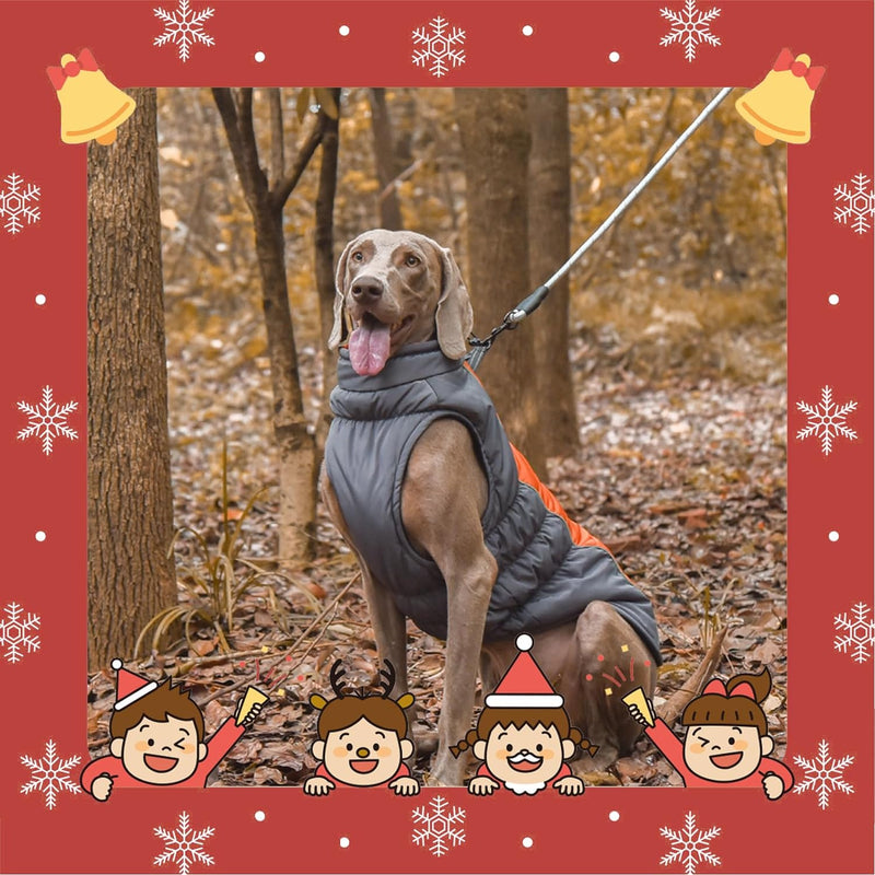 Vivi Bear Wasserdichter Hundemantel Winter Warme Hundejacke, Hundebekleidung Outfit für Mittel Gross