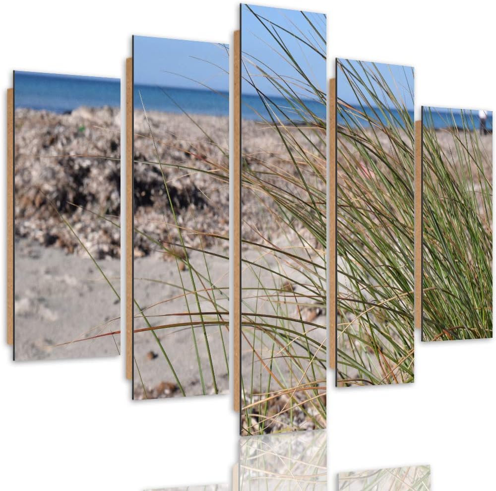 Feeby Deco Panel 5 Teilig Landschaft Bilder Modern Natur Gras Strand Meer braun 150x100 cm Deco pane