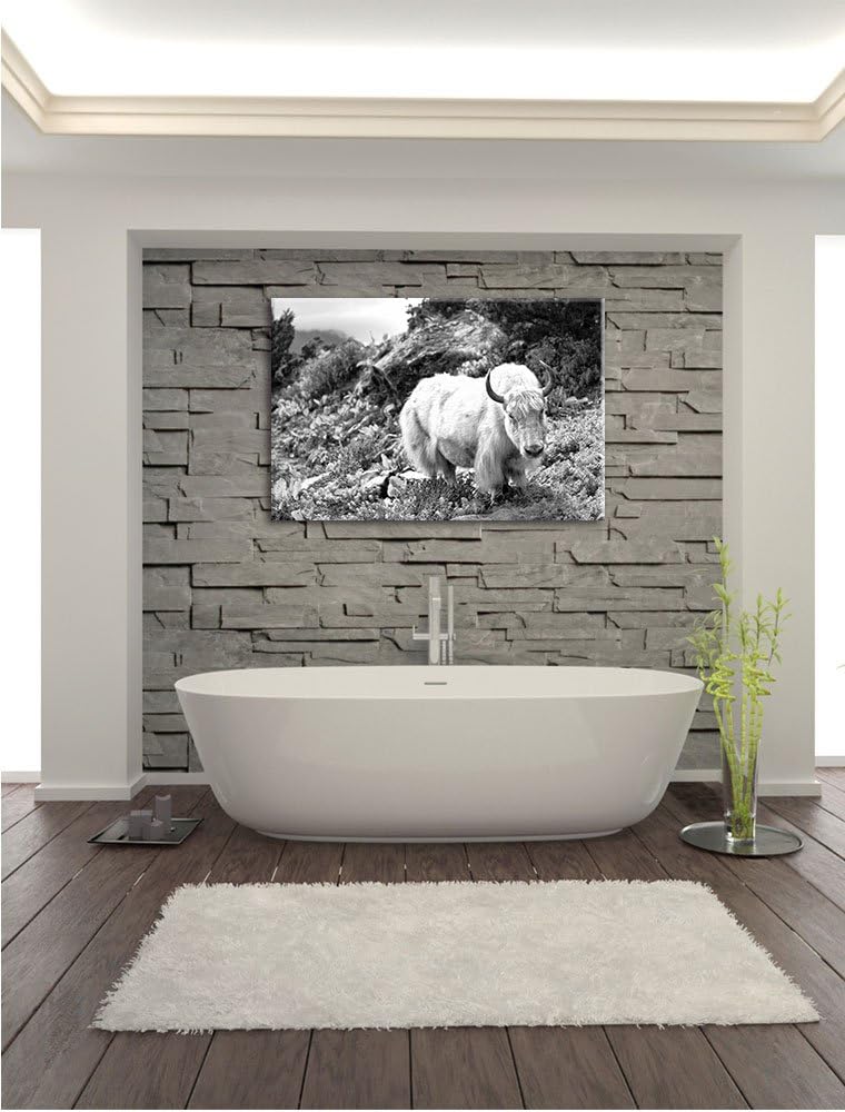 Pixxprint Schönes Yak Himalaya Kunst B&W als Leinwandbild/Grösse: 100x70 cm/Wandbild/Kunstdruck/fert