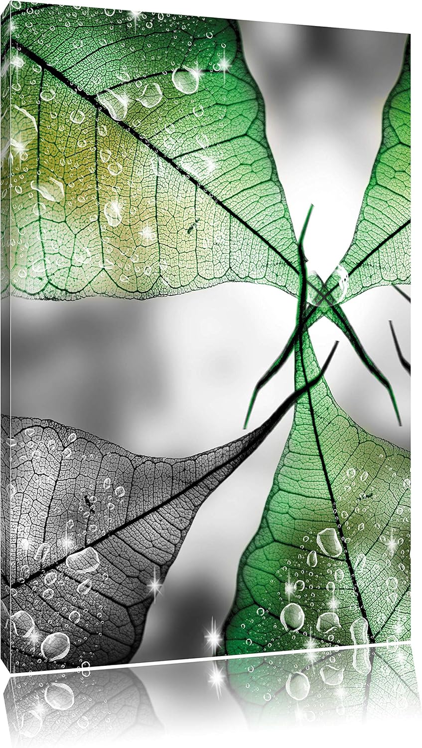 Pixxprint grüne Blätter mit Wassertropfen als Leinwandbild/Grösse: 100x70 cm/Wandbild/Kunstdruck/fer