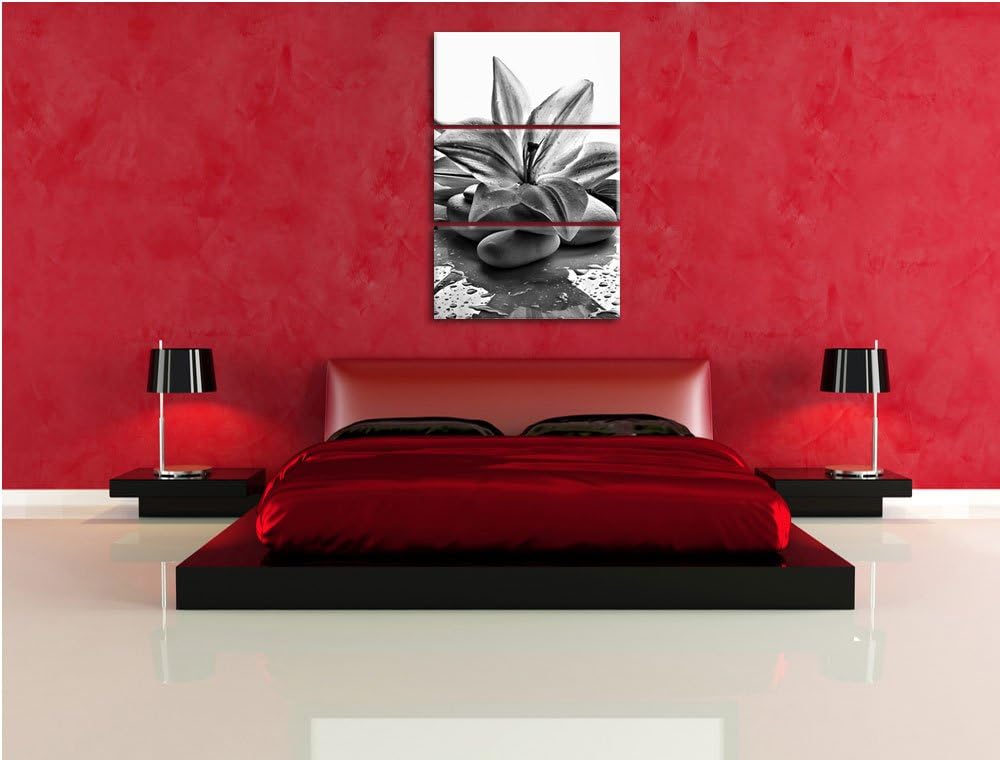 Pixxprint Blaue Lilie und Tulpe als Leinwandbild/Grösse: 3 Teilig (120x80) cm/Wandbild/Kunstdruck/fe