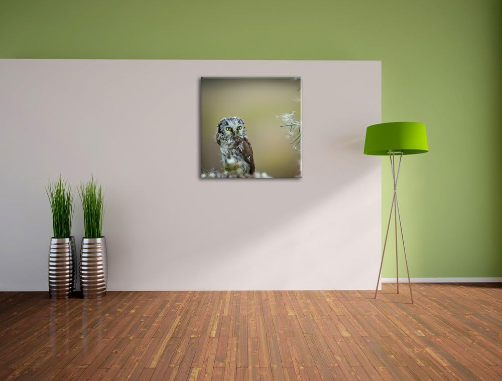 Pixxprint Kauz bestaunt Blatt als Leinwandbild Quadratisch/Grösse: 70x70 / Wandbild/Kunstdruck/ferti