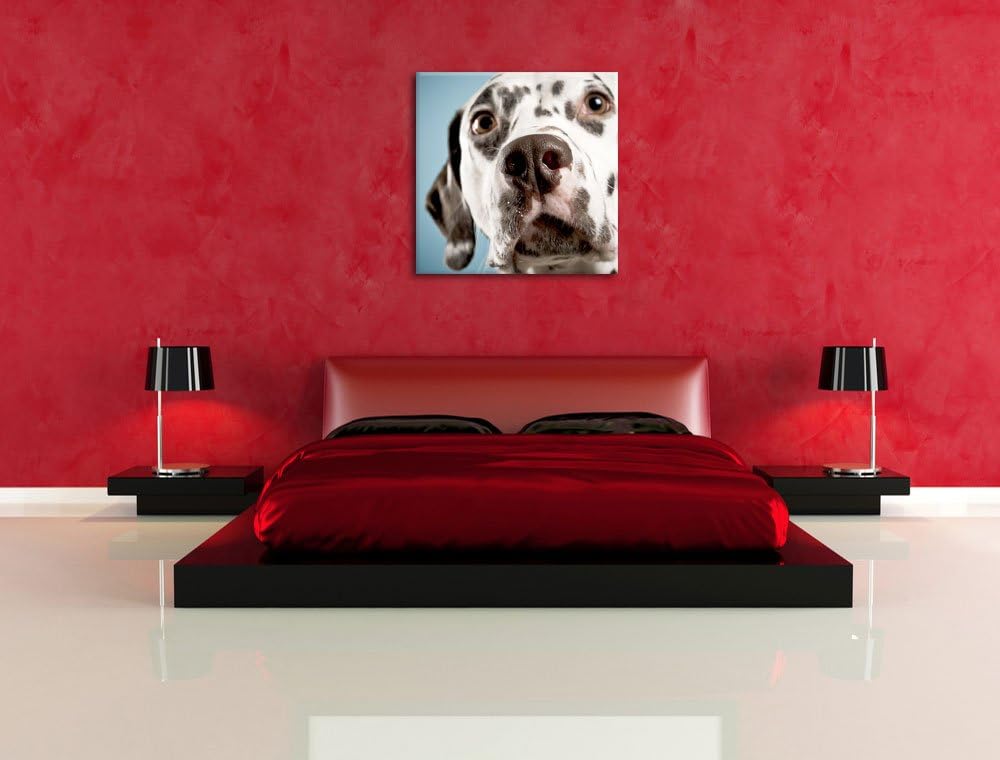 Süsser Dalmatiner, Format: 70x70 auf Leinwand, XXL riesige Bilder fertig gerahmt mit Keilrahmen, Kun