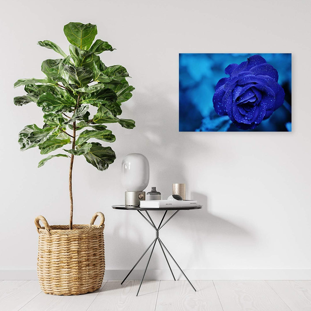 Feeby Leinwandbild Rose Bild Kunstdruck für Wohnzimmer Blau 70x50 cm M14575 70x50 cm, M14575 70x50 c