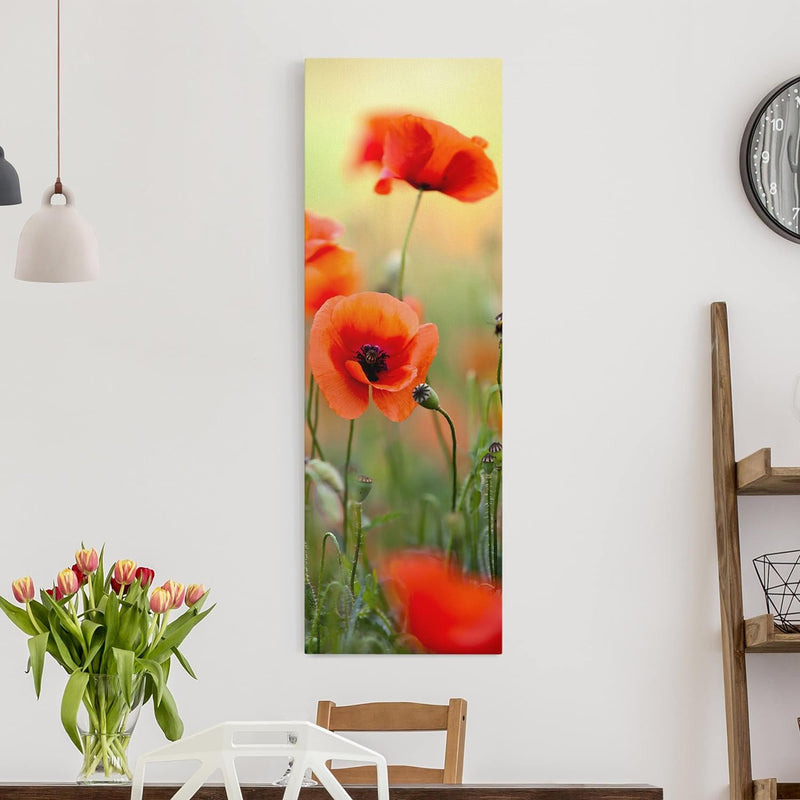 Bilderwelten Leinwandbild Top I Panorama Format 3:1, 90 x 30cm Roter Sommermohn 90cm x 30cm Roter So