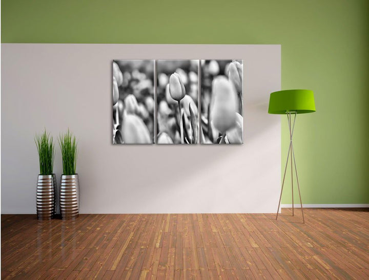 Pixxprint Gelbe Tulpen im Frühling als Leinwandbild/Grösse: 3 Teilig (120x80) cm/Wandbild/Kunstdruck