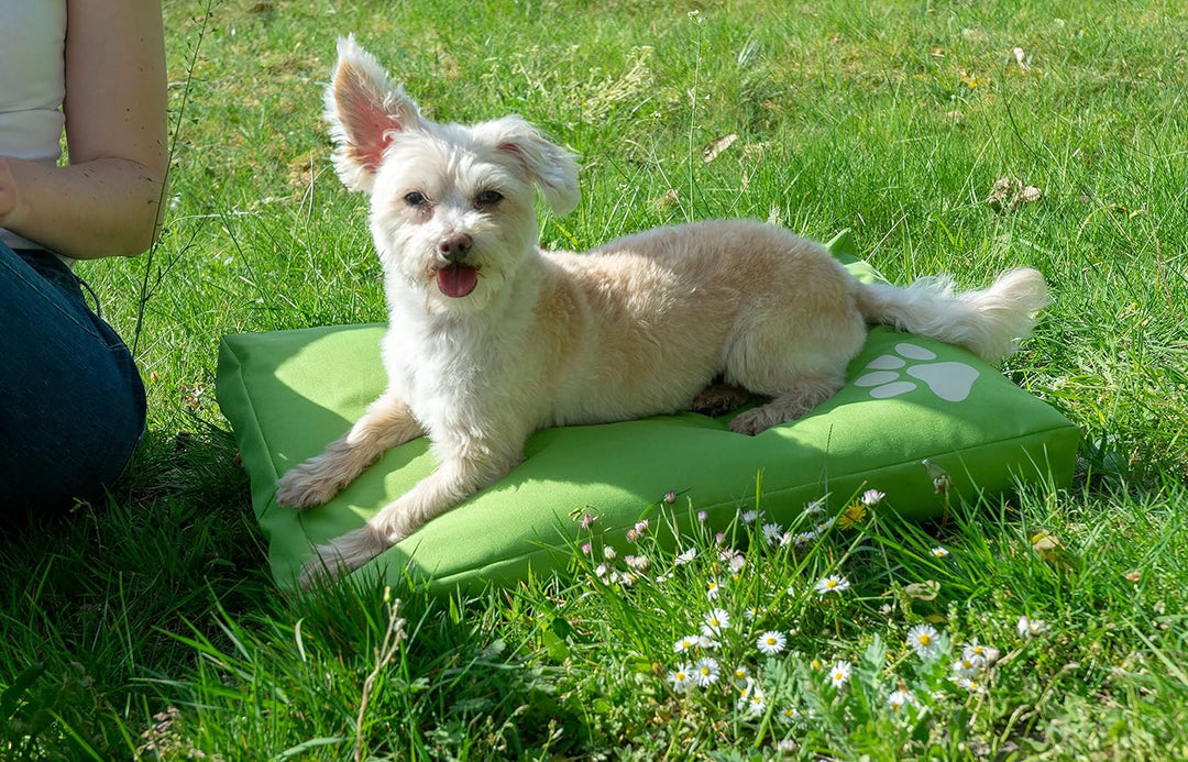 dobar 60441 Hundekissen Open Air - Outdoor Hundebett wasserabweisend - reissfeste Hundematratze mit