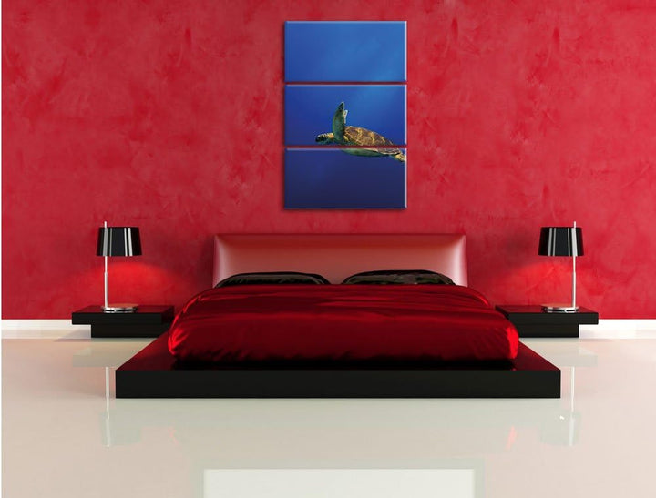 Pixxprint Schildkröte im Meer als Leinwandbild/Grösse: 3 Teilig (120x80) cm/Wandbild/Kunstdruck/fert