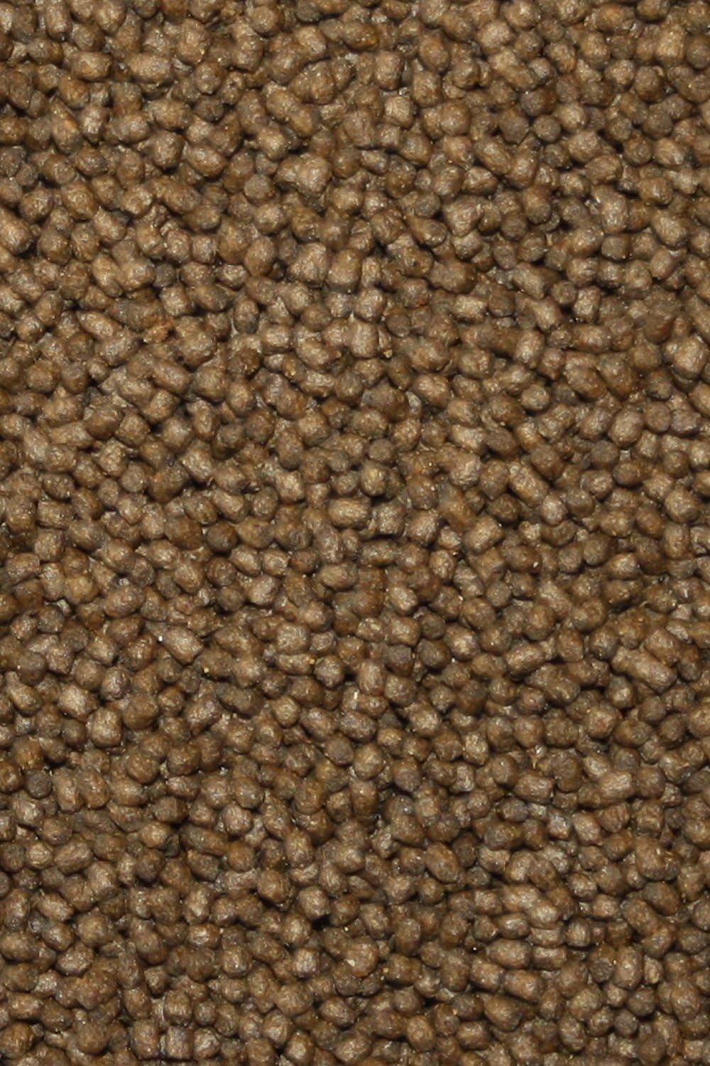 Koifutter, Aufzuchtfutter für den Koinachwuchs Tomodachi Mega Grower professionelles Koifutter für M
