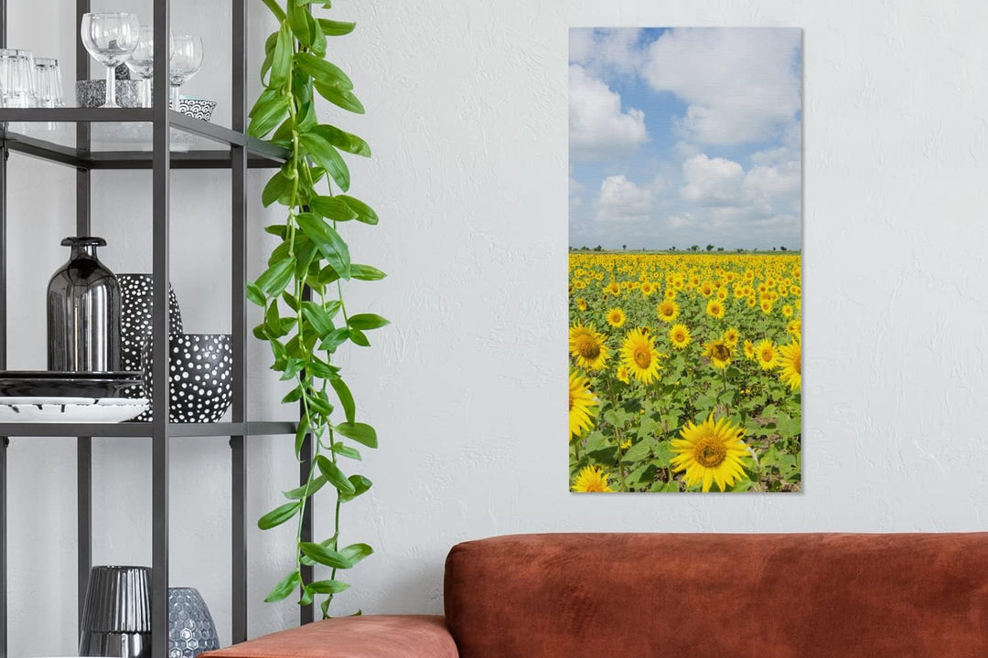 MuchoWow Leinwand Bilder, Einzigartige Wanddeko mit Rahmen, Sonnenblumen - Blumen - Wolken - Natur -