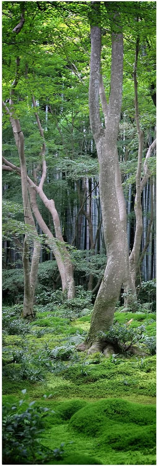 Bilderwelten Leinwandbild Top I Panorama Format 3:1, 90 x 30cm Japanischer Wald 90cm x 30cm Japanisc