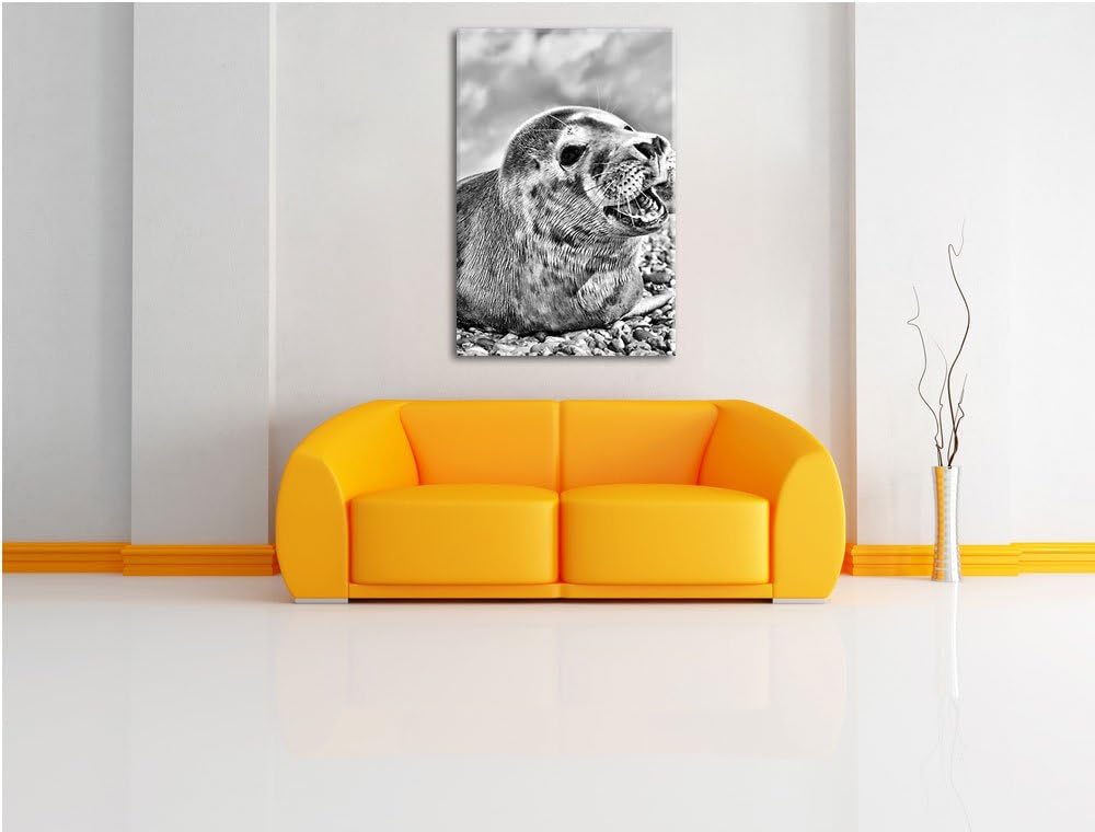 Pixxprint Süsse Robbe auf Steinstrand / 100x70cm Leinwandbild bespannt auf Holzrahmen/Wandbild Kunst