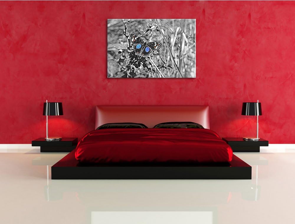 aussergewöhnlicher Schmetterling auf Grashalm schwarz/weiss Deluxe Format: 100x70 cm auf Leinwand, X