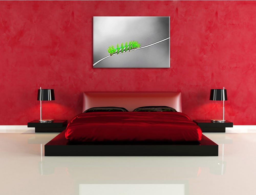 schöne seltene Raupe schwarz/weiss Deluxe Format: 100x70 cm auf Leinwand, XXL riesige Bilder fertig