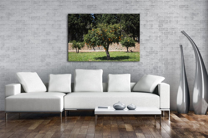 deyoli Orangenbäume im Garten Format: 80x60 als Leinwandbild, Motiv fertig gerahmt auf Echtholzrahme