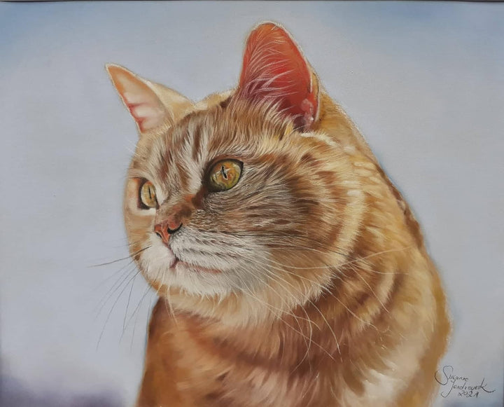 Clairefontaine 696168C - Packung mit 5 Zeichenbögen Pastelmat, ideal für Trockentechniken und Pastel