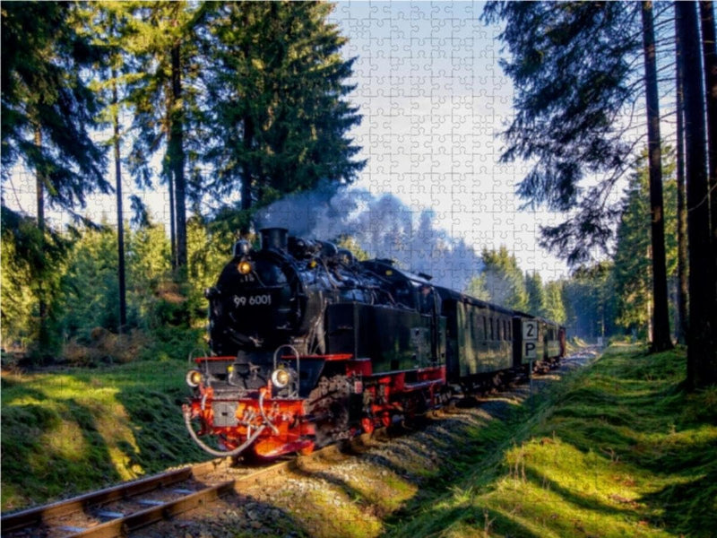 CALVENDO Puzzle Sonderzug bei Elend 1000 Teile Lege-Grösse 64 x 48 cm Foto-Puzzle Bild von Steffen G